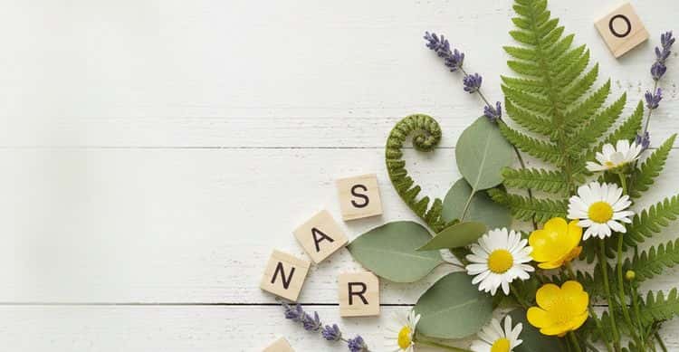 Nature Baby Names: Trees, Flowers, Water and Sky