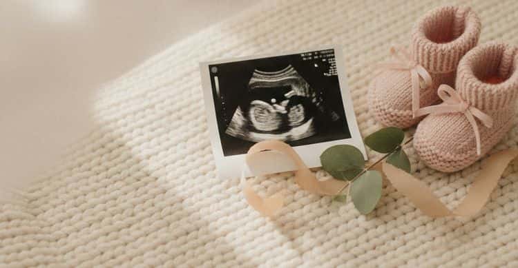 Nub Theory: Guessing Baby Sex From an Early Ultrasound