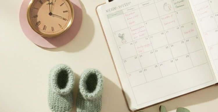 When Can You Find Out Your Baby's Sex? A Week-by-Week Guide